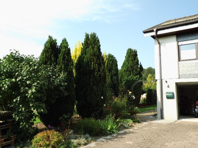 Schönes gepflegtes Einfamilienhaus mit großem Grundstück, Terrasse, Panoramablick und vielen Extras - Einfahrt